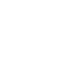 fin-automobile-industry-icon